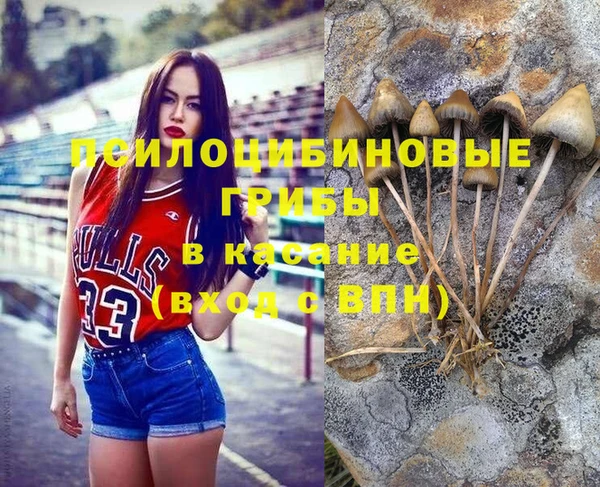 таблы Гусь-Хрустальный