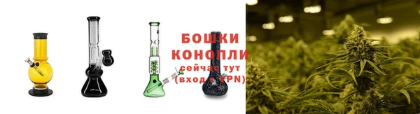 марки nbome Гусев