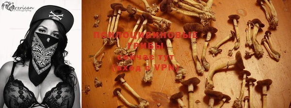 марки nbome Гусев